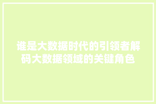 谁是大数据时代的引领者解码大数据领域的关键角色