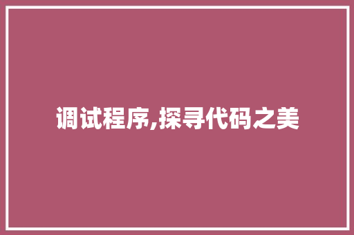 调试程序,探寻代码之美