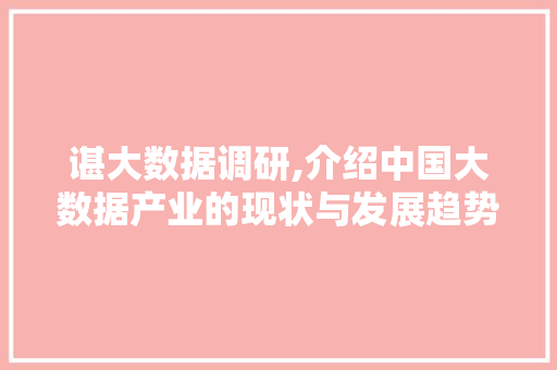 谌大数据调研,介绍中国大数据产业的现状与发展趋势