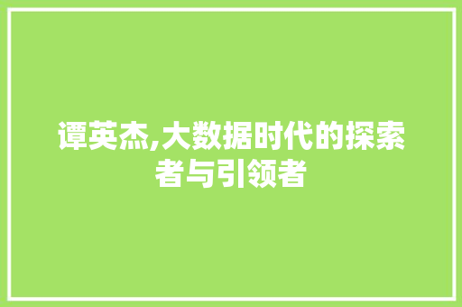 谭英杰,大数据时代的探索者与引领者