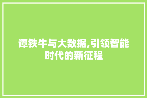 谭铁牛与大数据,引领智能时代的新征程