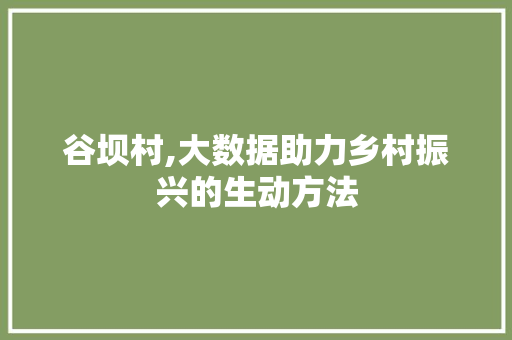 谷坝村,大数据助力乡村振兴的生动方法
