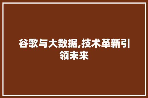 谷歌与大数据,技术革新引领未来