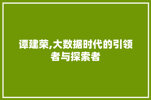 谭建荣,大数据时代的引领者与探索者