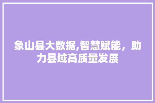 象山县大数据,智慧赋能，助力县域高质量发展