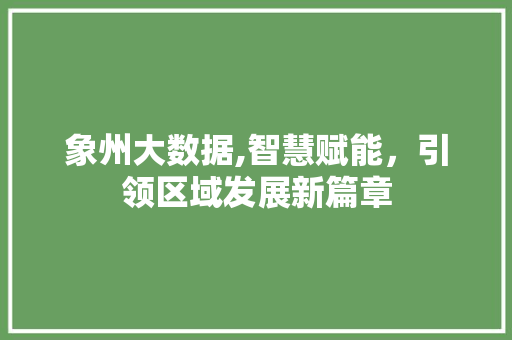 象州大数据,智慧赋能，引领区域发展新篇章