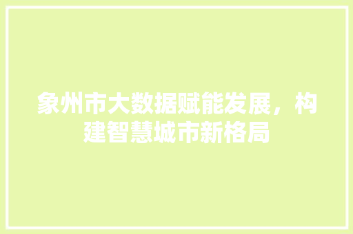 象州市大数据赋能发展，构建智慧城市新格局 神马SEO