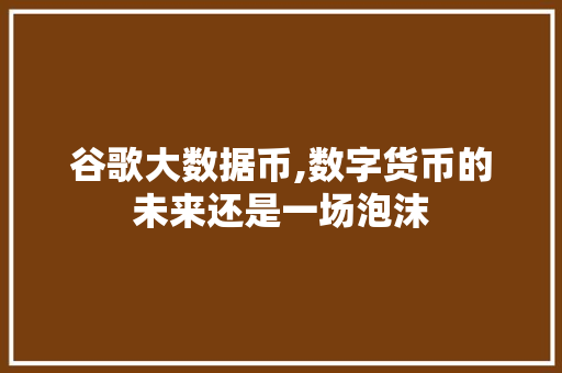 谷歌大数据币,数字货币的未来还是一场泡沫