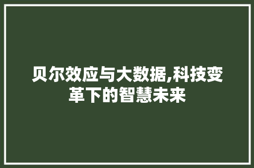 贝尔效应与大数据,科技变革下的智慧未来