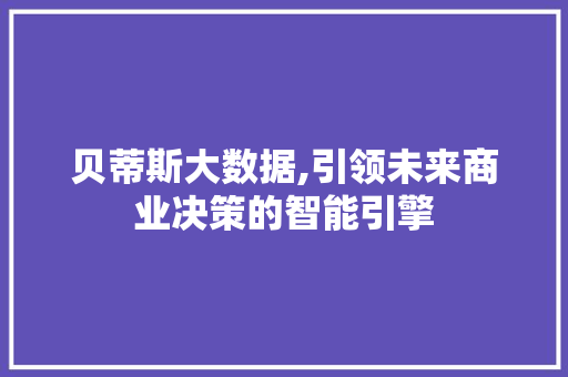 贝蒂斯大数据,引领未来商业决策的智能引擎