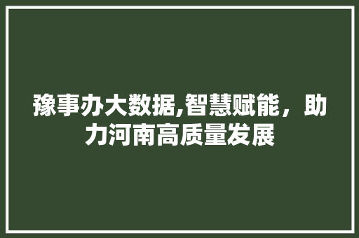 豫事办大数据,智慧赋能，助力河南高质量发展 神马SEO