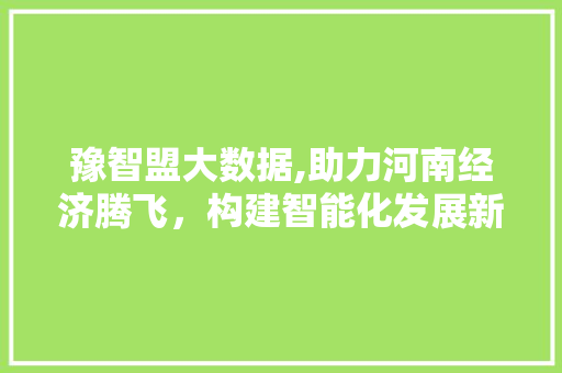 豫智盟大数据,助力河南经济腾飞，构建智能化发展新格局