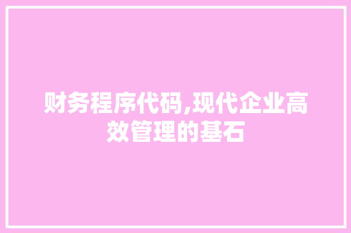 财务程序代码,现代企业高效管理的基石