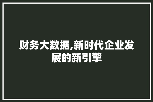 财务大数据,新时代企业发展的新引擎