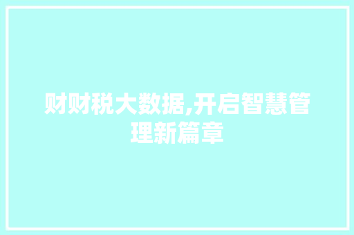 财财税大数据,开启智慧管理新篇章