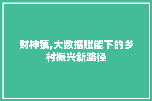 财神镇,大数据赋能下的乡村振兴新路径