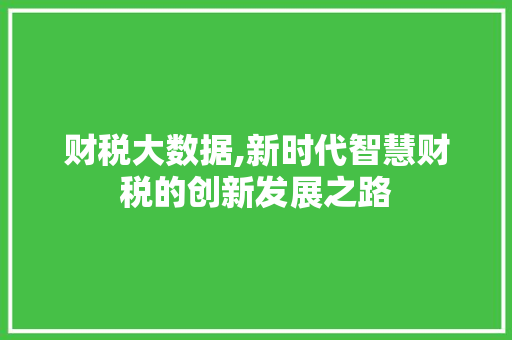 财税大数据,新时代智慧财税的创新发展之路