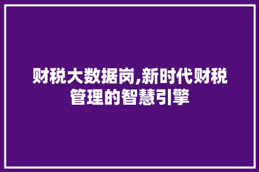 财税大数据岗,新时代财税管理的智慧引擎
