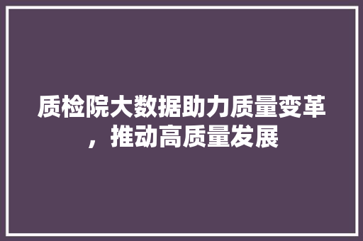 质检院大数据助力质量变革，推动高质量发展