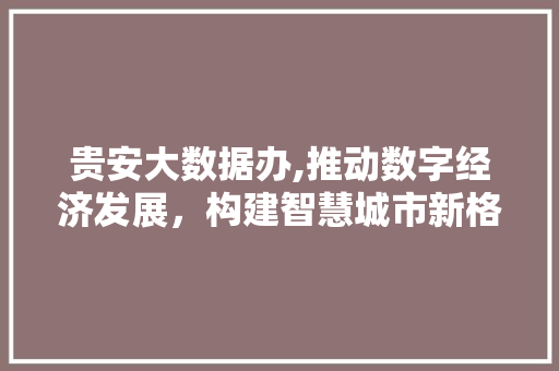 贵安大数据办,推动数字经济发展，构建智慧城市新格局