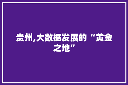 贵州,大数据发展的“黄金之地”