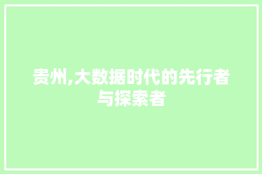 贵州,大数据时代的先行者与探索者
