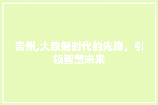 贵州,大数据时代的先锋，引领智慧未来