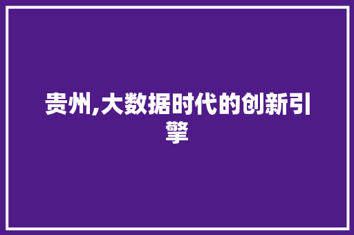 贵州,大数据时代的创新引擎