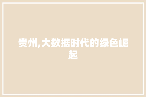 贵州,大数据时代的绿色崛起