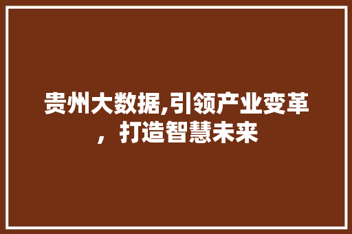 贵州大数据,引领产业变革，打造智慧未来