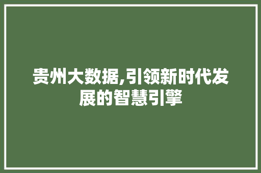 贵州大数据,引领新时代发展的智慧引擎