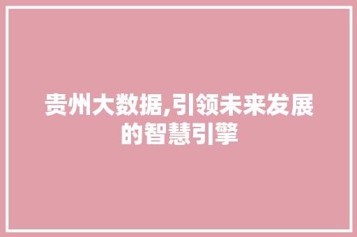 贵州大数据,引领未来发展的智慧引擎