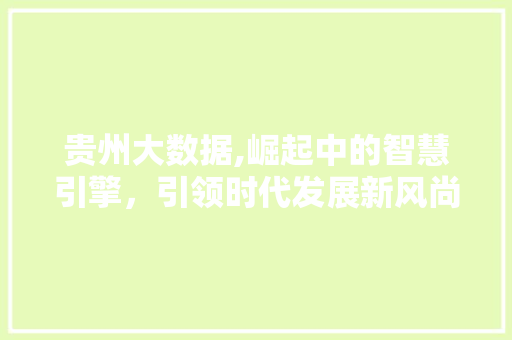 贵州大数据,崛起中的智慧引擎，引领时代发展新风尚