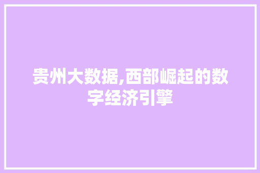 贵州大数据,西部崛起的数字经济引擎
