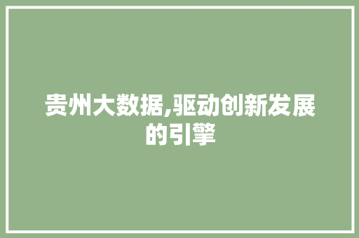贵州大数据,驱动创新发展的引擎