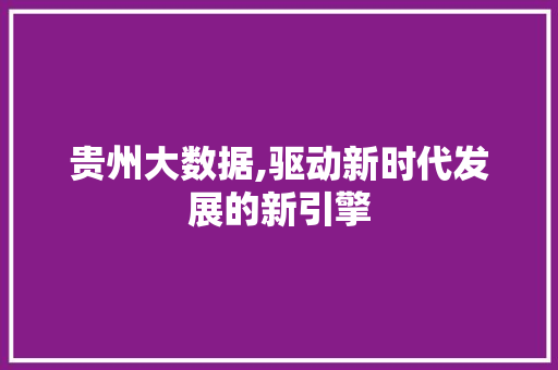 贵州大数据,驱动新时代发展的新引擎