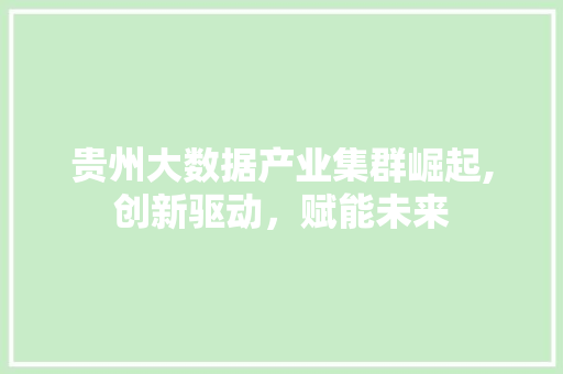 贵州大数据产业集群崛起,创新驱动，赋能未来