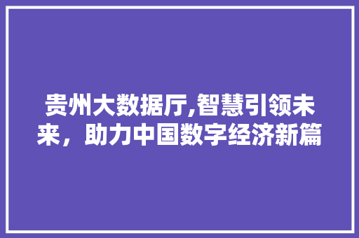 贵州大数据厅,智慧引领未来，助力中国数字经济新篇章