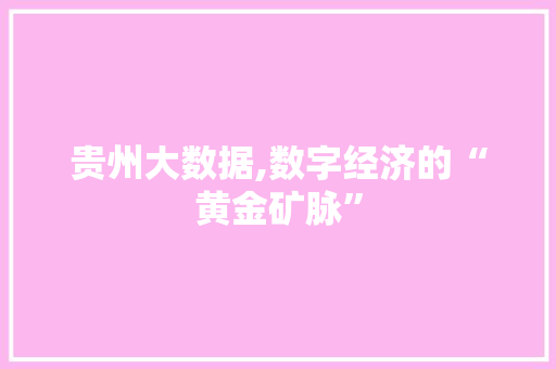 贵州大数据,数字经济的“黄金矿脉”