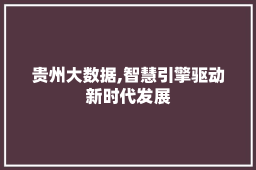 贵州大数据,智慧引擎驱动新时代发展