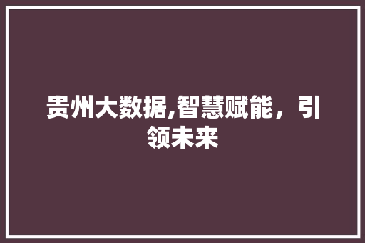 贵州大数据,智慧赋能，引领未来