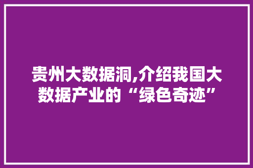 贵州大数据洞,介绍我国大数据产业的“绿色奇迹”
