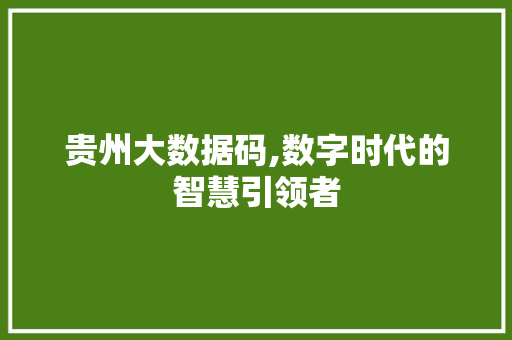 贵州大数据码,数字时代的智慧引领者