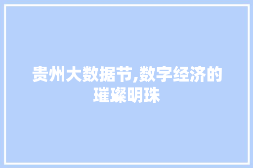 贵州大数据节,数字经济的璀璨明珠