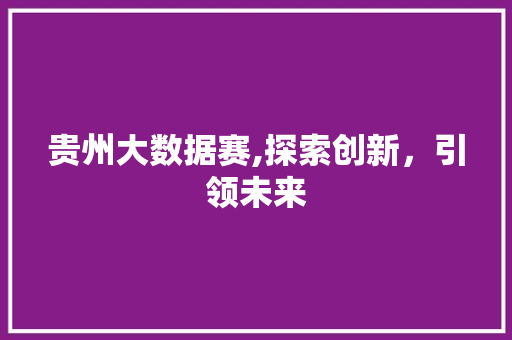 贵州大数据赛,探索创新，引领未来