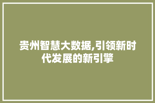 贵州智慧大数据,引领新时代发展的新引擎
