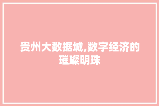 贵州大数据城,数字经济的璀璨明珠