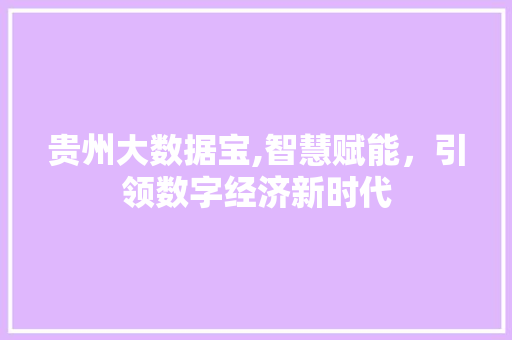 贵州大数据宝,智慧赋能，引领数字经济新时代