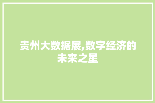 贵州大数据展,数字经济的未来之星