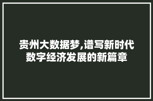 贵州大数据梦,谱写新时代数字经济发展的新篇章